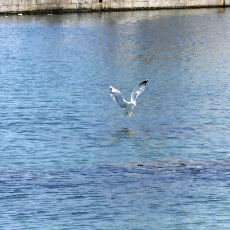 Lido San Giovanni Baia Blu By Nonsolomare Vacanze Srlu